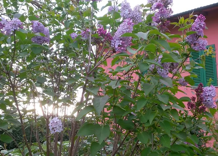 Agriturismo Le Caselle *